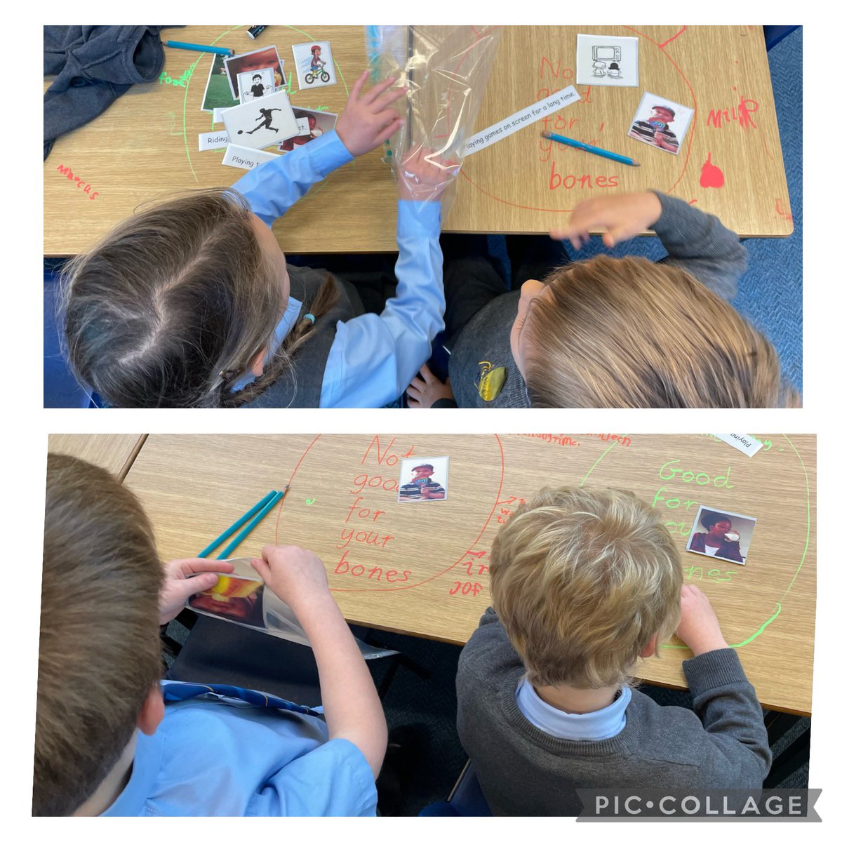 StJosephsERC's tweet image. P2 continued their study of the Human Body in Science today by focusing on the skeleton. They  learned scientific vocabulary  such as ‘humerus’ and ‘femur’ and found out they have 300 bones - nearly 100 more than adults!  #ERCStem