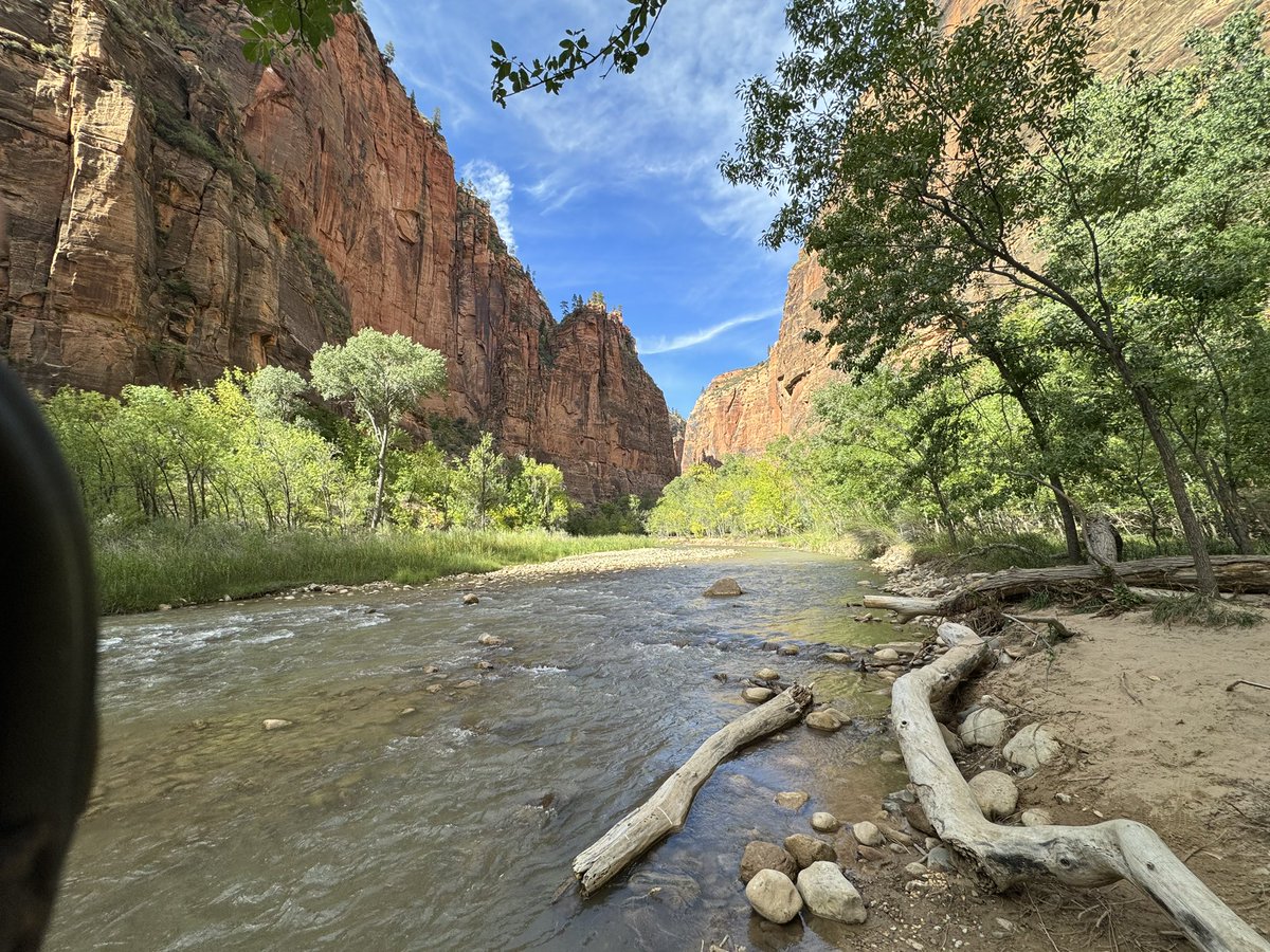 Natalie Osborne Smith, EdD tweet media