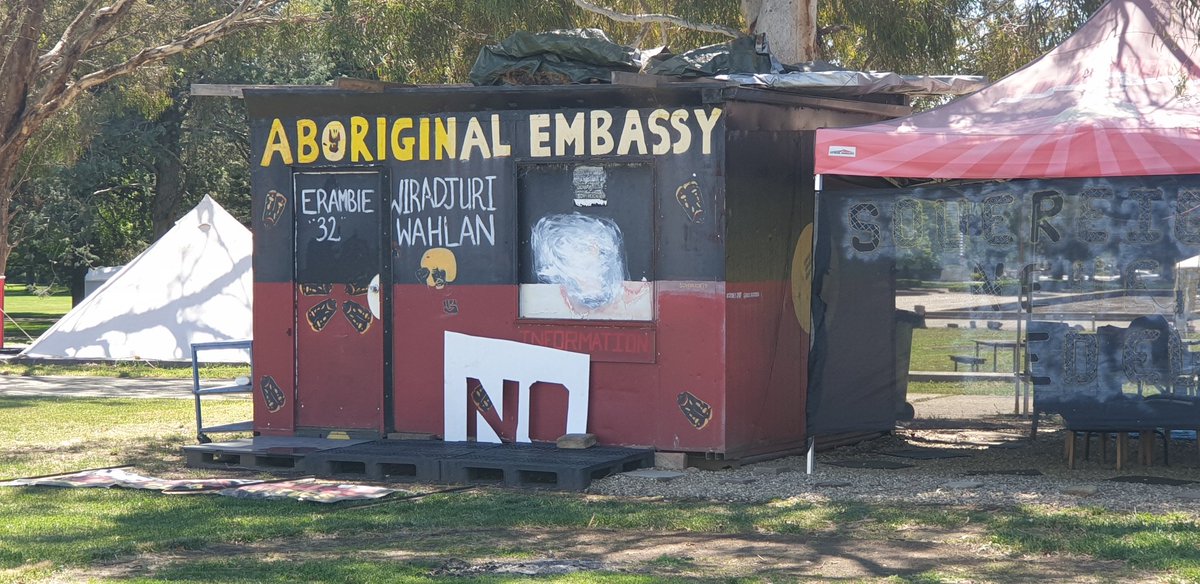 Jalal Mohammed tweet media