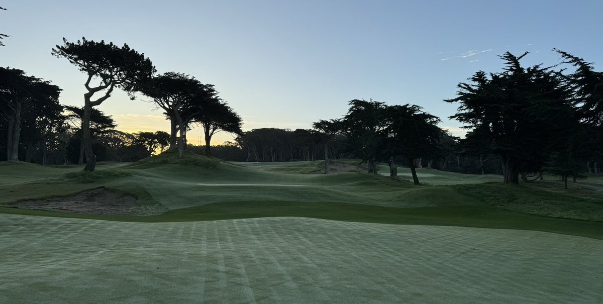 Josh Lewis tweet media