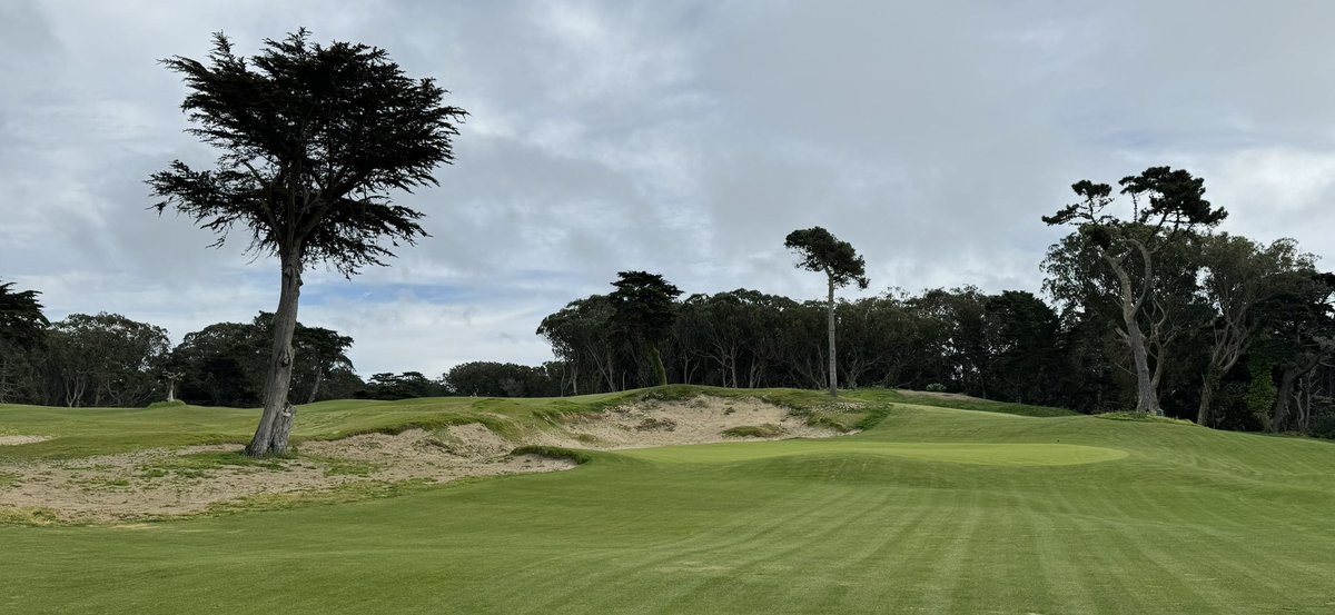 Josh Lewis tweet media