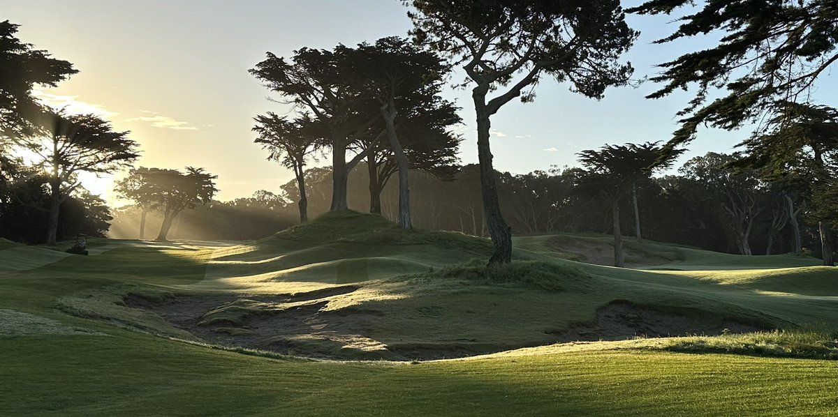 Josh Lewis tweet media