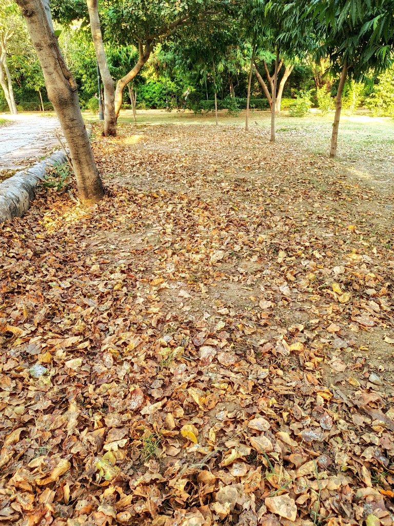 artizzzz's tweet photo. Autumn hues
#OctoberDiaries https://t.co/EhHMjjhxjQ