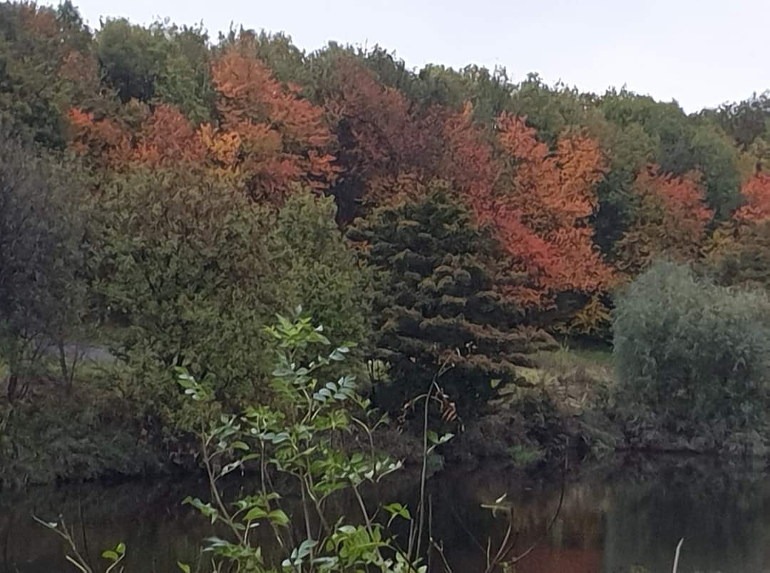 PS4RUN's tweet photo. Shades of autumn 🍂 😎 #hass https://t.co/4QlECiWnFz