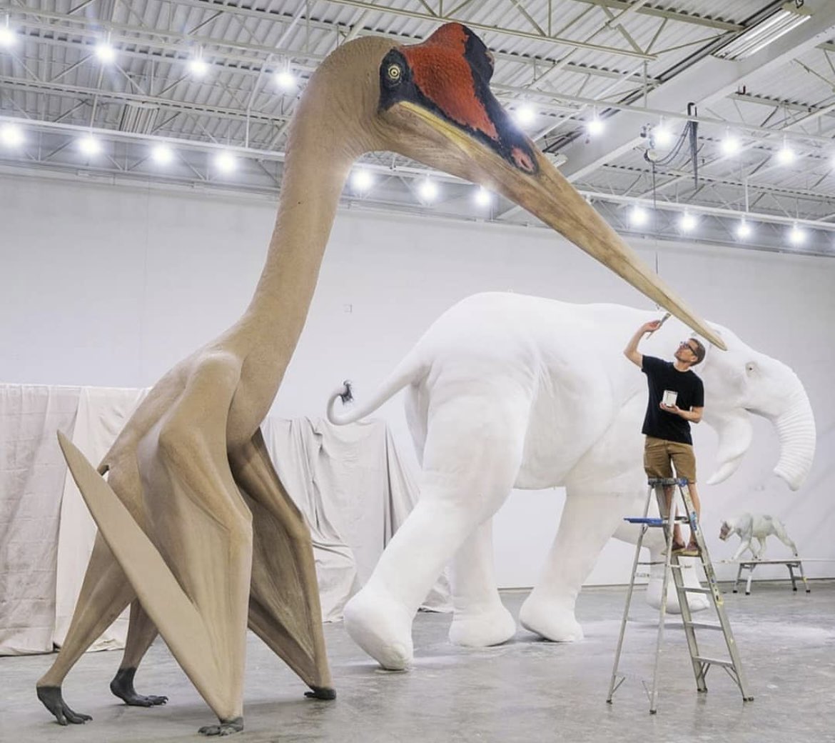 Quetzalcoatlus northropi is a Late Cretaceous pterosaur, which lived approximately 100.5 to 66 million years ago in North America. It is one of the largest flying animals in history, with a wingspan that could reach up to 52 feet (15.9 meters) and a size comparable to a giraffe.