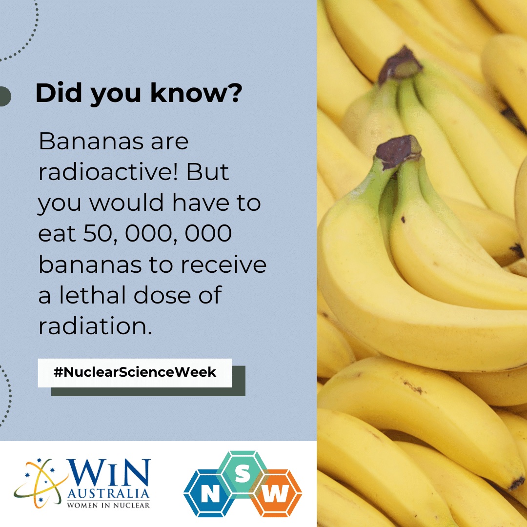 Happy Nuclear Science Week! This week WiN Australia will be sharing some fun facts about nuclear. Fact number three is about naturally occurring radiation. @nucearscienceweek_ @nuclearsciweek #nuclearscienceweek #nuclearsciweek #Womeninnuclear #womeninstem