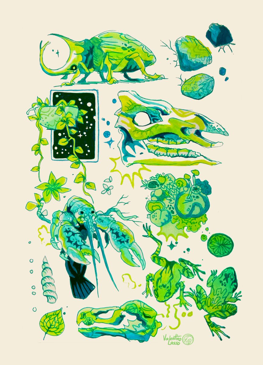 Valentino Lasso🌿 tweet media