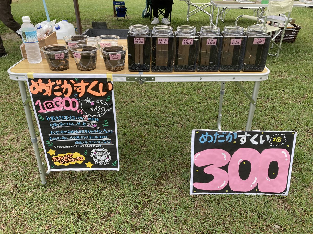 Kobiton5's tweet photo. おはようございます☀️
今日は、広陵町竹取公園北側駐車場🅿️にてイベント開催中です😊🐟✨
手型のイベント🖼️もやっております♪
お気軽にお立ち寄り下さい‼️

#メダカ
#メダカ掬い
#手型イベント
#奈良県広陵町
#���取公園 https://t.co/Mb1ypw5pUa