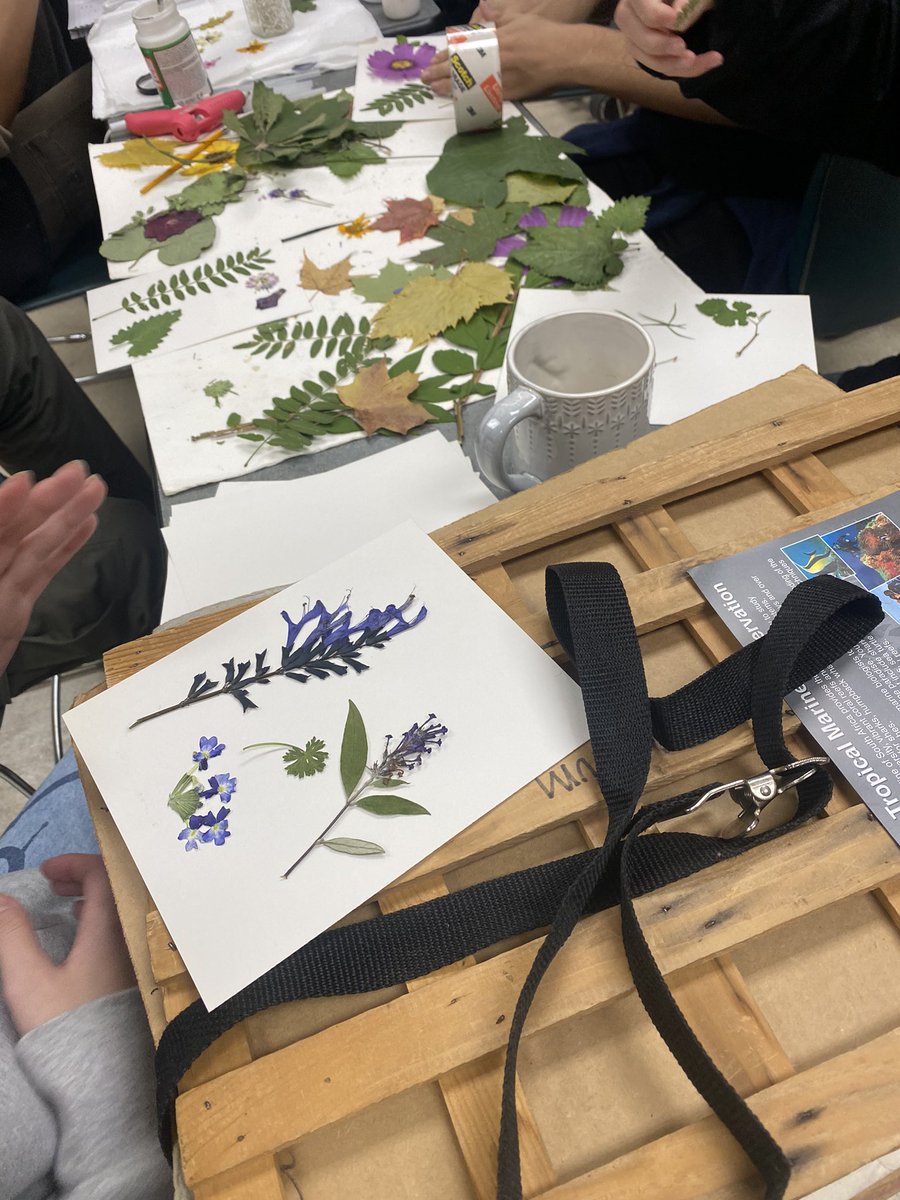 MSU FW Club tweet media