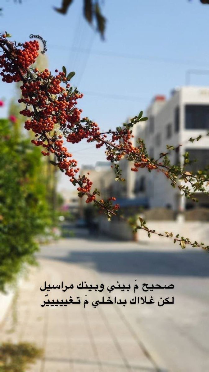 klmat7ob's tweet photo. صحيح ما بيني و بينك مراسيل 
لكن غلااك بداخلي ما تغير ..

#بوح https://t.co/9O3qpW9KXy