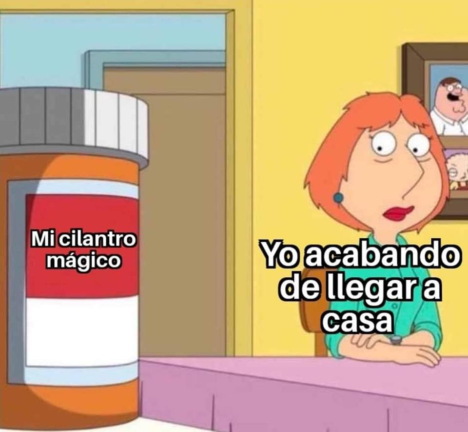CharlyGrown's tweet photo. Si... por que no? https://t.co/3p2w2S7cAR