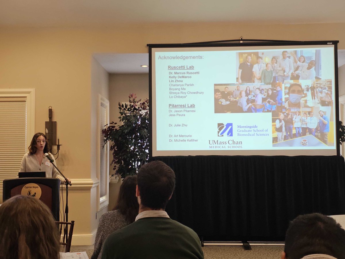 Marcus Ruscetti Lab tweet media