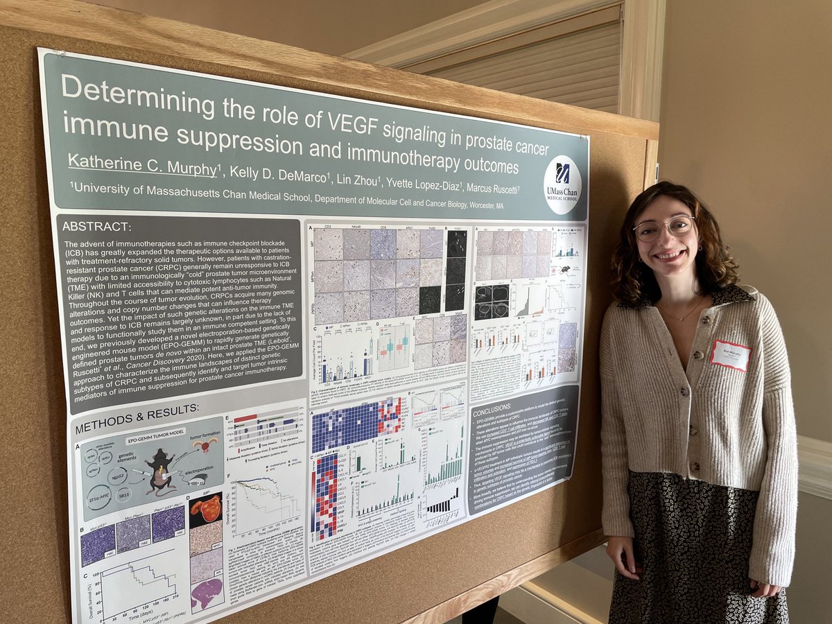 Marcus Ruscetti Lab tweet media