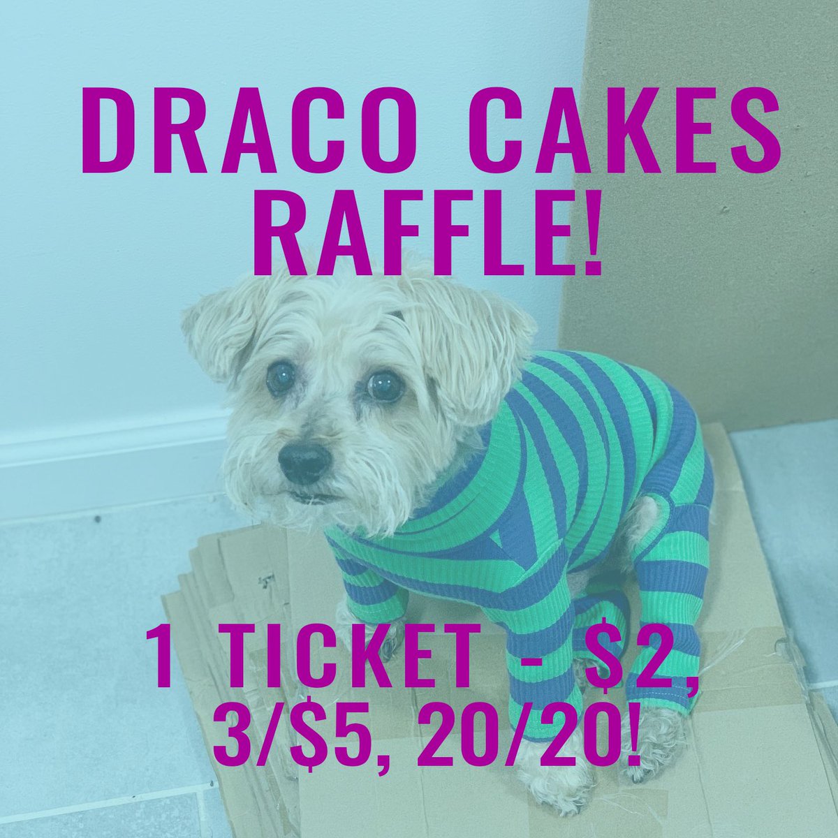TheColorfulGeek's tweet photo. Ok, so I have some not so colorful news - Draco was recently diagnosed with cancer and to help with the mounting bills, we are having a fundraising raffle at my booth all weekend at NYCC. I will be raffling off a couple pins and shirts (your choice!). 

….. https://t.co/07Dm46Azc7