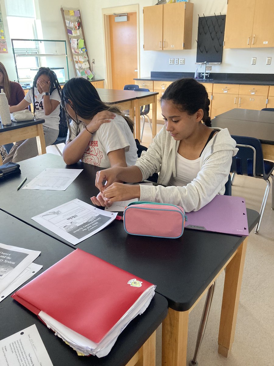 Mrs. Makrinos tweet media