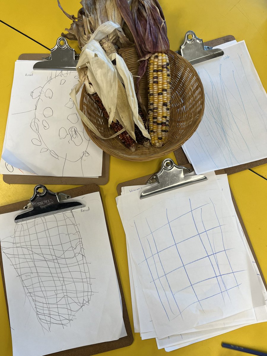 MissDao1's tweet photo. Loving the different interpretations of how they see the seasonal corn. Notice the lines emerging! 🌽@PrinceEdwardPS #earlyyears #observationaldrawings https://t.co/KrI8bZ0L7o