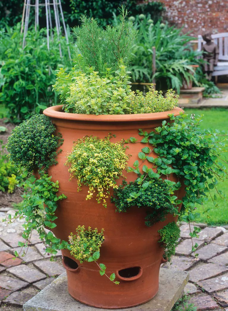 bv_electro's tweet photo. This article is full of ideas that can inspire you to grow a #garden. #homeprojects   #svrrealtyllc HomeImprovement DreamHome #History #inspiration #LiamYoung  
Original: cipi_evis https://t.co/PAu7YRaC03