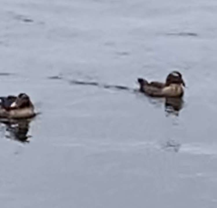 JLClarke tweet media