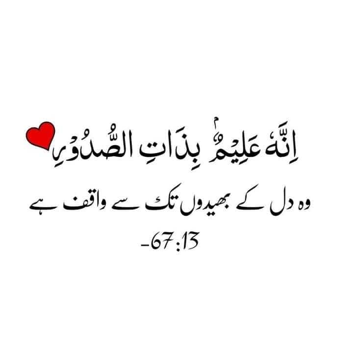 AسmA رAi tweet media