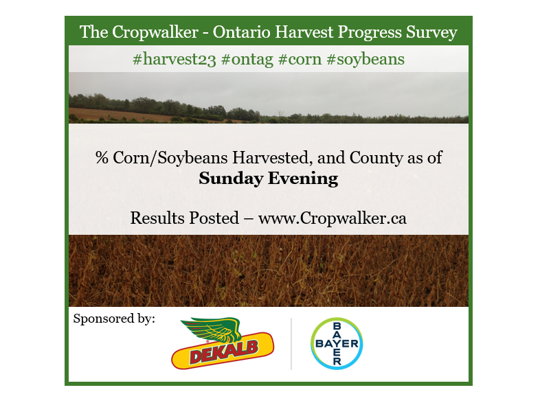 Jonathan Zettler 🇨🇦 tweet media