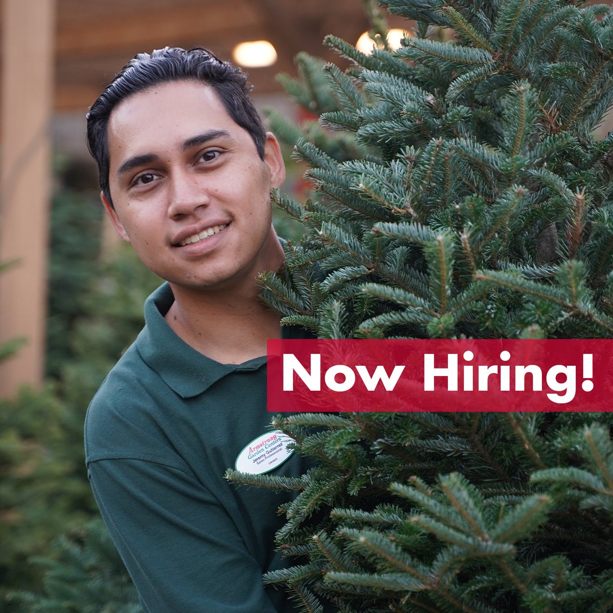 armstronggarden's tweet image. We&apos;re Hiring! 

🎄 Help Make Lasting Memories this Holiday Season with Us. 🎄

Open Positions
🎄 Christmas Tree Lot
🎁 Cashiers
⛄ Maintenance
🌟 Visual Merchandiser

Learn More  👇👇👇
bit.ly/33ffo3k

#seasonaljobs #christmasjobs #visualmerchandiser #bestjobs #gardenjob