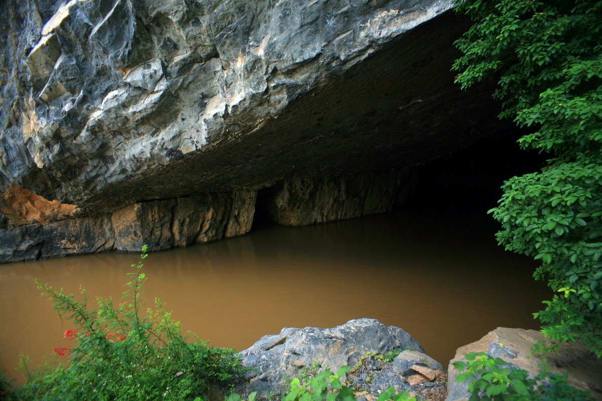 'Son' #River is a tributary of Gianh River and flows entirely in #QuangBinh province. #SonRiver flows underground in the limestone #mountains in Phong Nha - Ke Bang National Park & flows out from the entrance of #PhongNha cave.
Dòng sông đẹp nhất quê tôi!🤩🤩🤩🤩
#Tourism #cheo