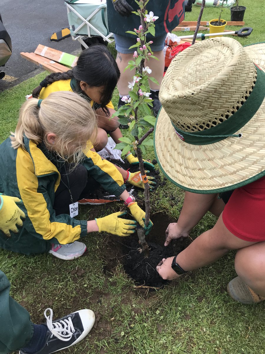 PuhinuiS's tweet photo. Bunnings very kindly donated some trees to Puhinui School to give back to the community.

Earlier this week, Mrs. Wright took some students to plant them around the school.

We are looking fresh and green for the final term of the year! 🌺🌺 https://t.co/35MM3dqsyw