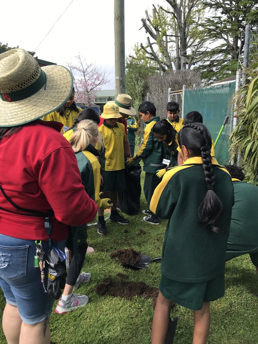 PuhinuiS's tweet photo. Bunnings very kindly donated some trees to Puhinui School to give back to the community.

Earlier this week, Mrs. Wright took some students to plant them around the school.

We are looking fresh and green for the final term of the year! 🌺🌺 https://t.co/35MM3dqsyw