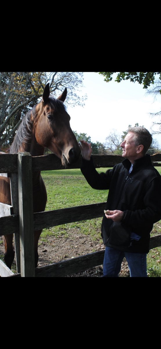 mig4450's tweet image. Earlier this week I had the privilege and opportunity to visit with the horses in the ⁦@trfinc⁩ herd at the wallkill correctional facility. I was so impressed with the skill,love, passion and dedication that the inmates in the program had for the horses.