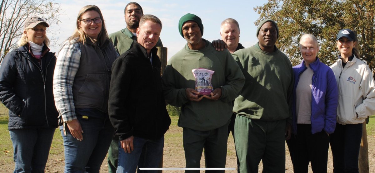 mig4450's tweet image. Earlier this week I had the privilege and opportunity to visit with the horses in the ⁦@trfinc⁩ herd at the wallkill correctional facility. I was so impressed with the skill,love, passion and dedication that the inmates in the program had for the horses.
