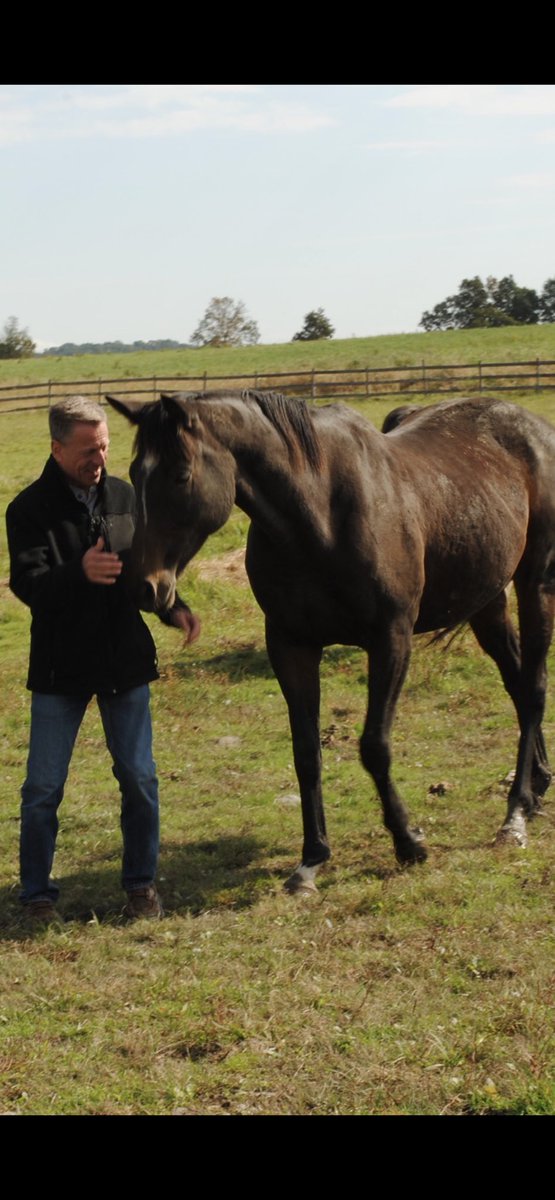 mig4450's tweet image. Earlier this week I had the privilege and opportunity to visit with the horses in the ⁦@trfinc⁩ herd at the wallkill correctional facility. I was so impressed with the skill,love, passion and dedication that the inmates in the program had for the horses.