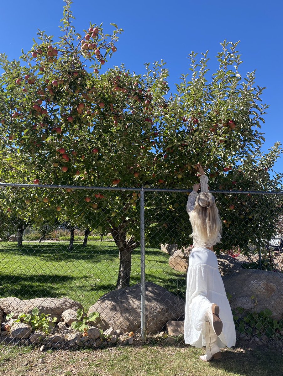 CheyanneGoris's tweet photo. https://t.co/Mie6ttl1eJ