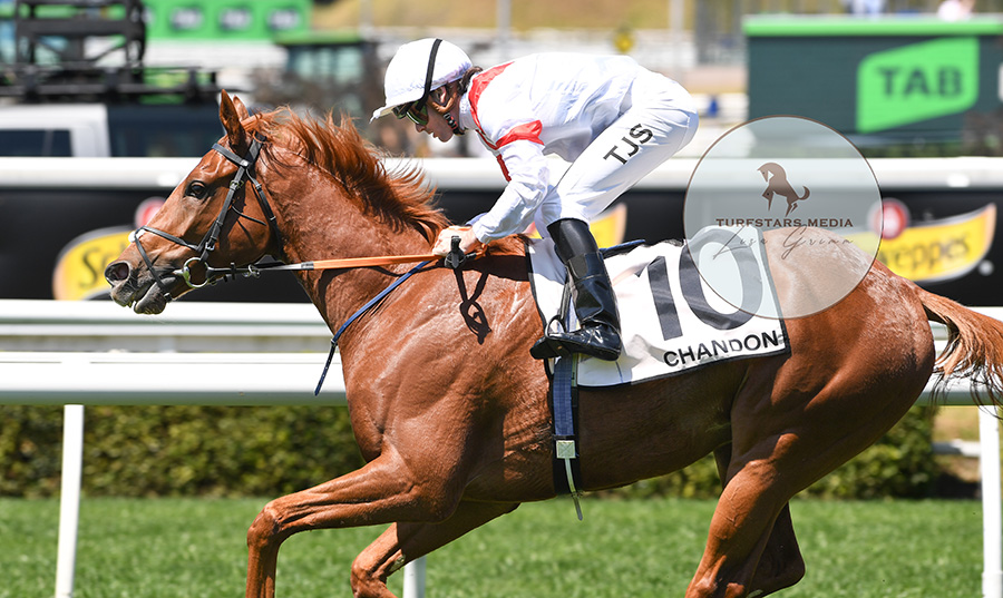 LisaGrimm9's tweet photo. Staying prowess was on display there !
LAND LEGEND (FR) (Galileo x Landikusic) is a track record holder at Randwick after his victory in the MOËT &amp; CHANDON ST LEGER STAKES (2600 METRES) ! https://t.co/jYuzzF00q4