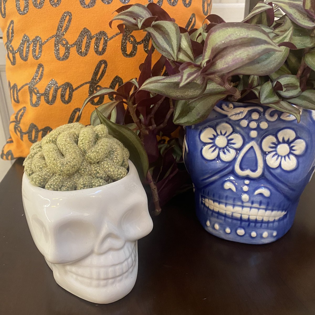 Lindsay Halladay tweet media