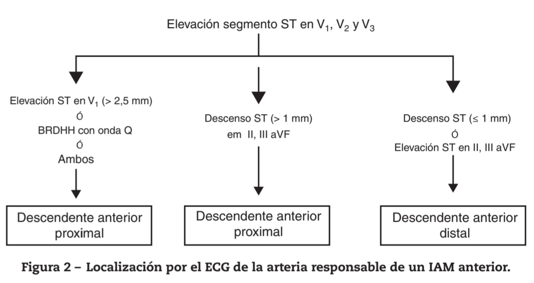 javier20ch's tweet photo. ⚡️Algoritmos EKG en SICA.🫀
🔴IAM inferior:
ACD: ↑ST DIII > DII; proximal si ↑ST V1 y/o V4R.
ACX: ↑ST DII > DIII ➕️ ↑ST DI, aVL, V5-V6 y ↓ST V1-V3.
🔴IAM anterior: ↑ST V1-V3.
Proximal: ↑ST V1 >2.5 mm, ↓ST >1 mm DII, DIII y aVF.
Distal: ↓ST <1 mm ó ↑ST DII, DIII y aVF. https://t.co/HKA8UYLawQ