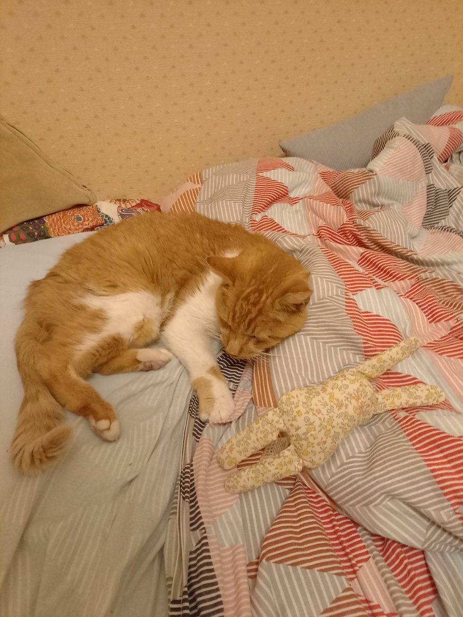 Coucou les popains 
Cette semaine j'ai fait la blague toute pourrite à mes nhumains = faire semblant de partir à la grande sieste. Présentement avec le doudou que m'avait laissé pôtibébé.
Ça va mieux mais ça fait 3 fois que je fais la blague, mes nhumains rigolent pas trop trop..