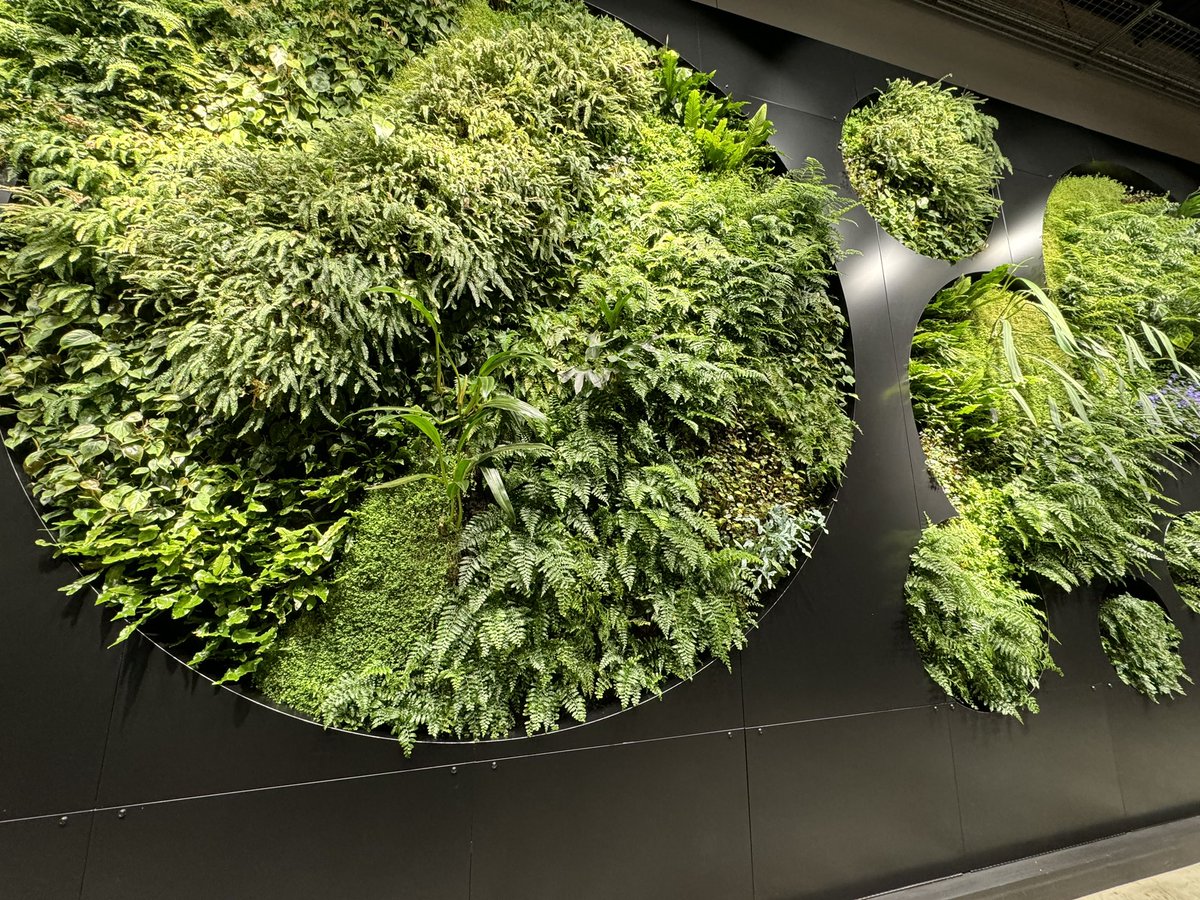 tstefan_pic's tweet image. #LivingWall #ClimatePledgeArena  #Breathtaking #Amazing #komoloz #Colorful #Sun #Sunny #Peaceful #ProtectingMyPeace #Clouds #Cloud #Cloudy