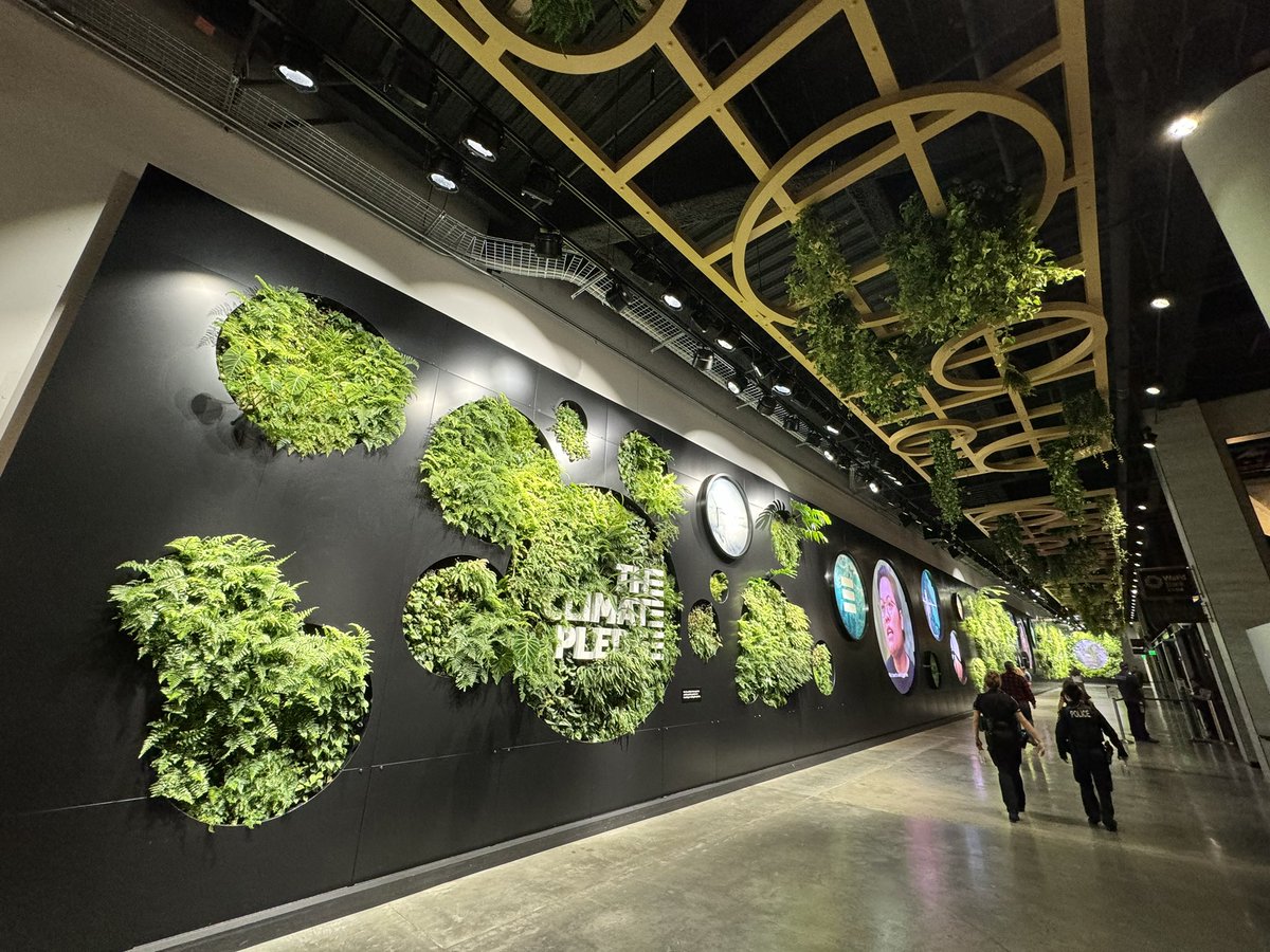 tstefan_pic's tweet image. #LivingWall #ClimatePledgeArena  #Breathtaking #Amazing #komoloz #Colorful #Sun #Sunny #Peaceful #ProtectingMyPeace #Clouds #Cloud #Cloudy