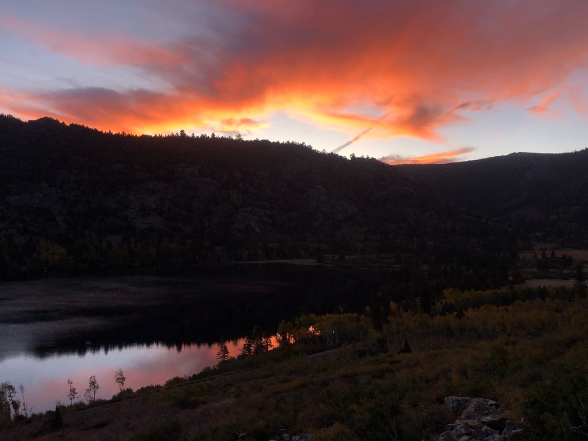 Jacob Ruth tweet media