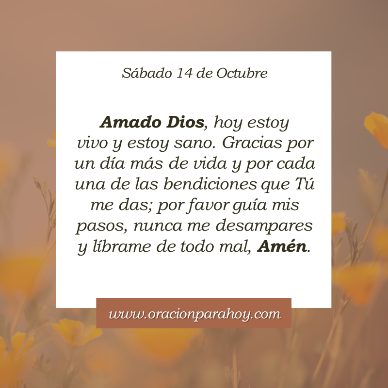 OracionParaHoy's tweet photo. Oración para hoy 14 de octubre: https://t.co/2Y80QFkp2z