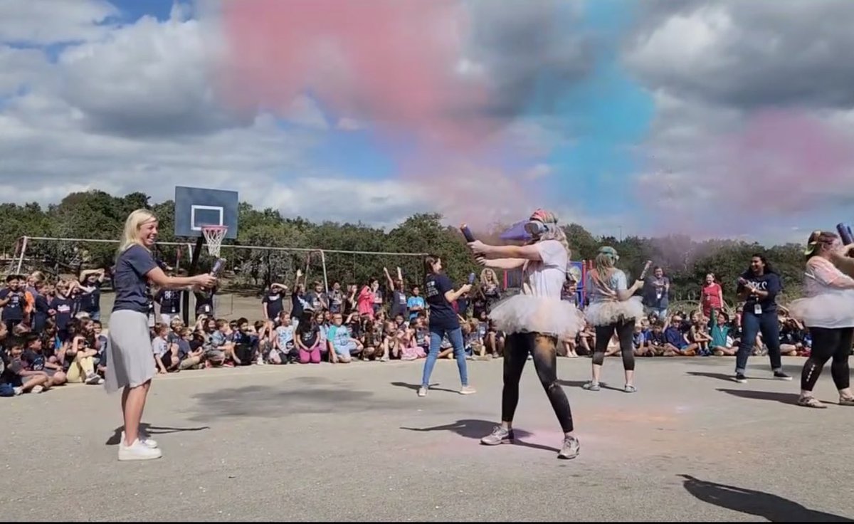 Caley Allen tweet media