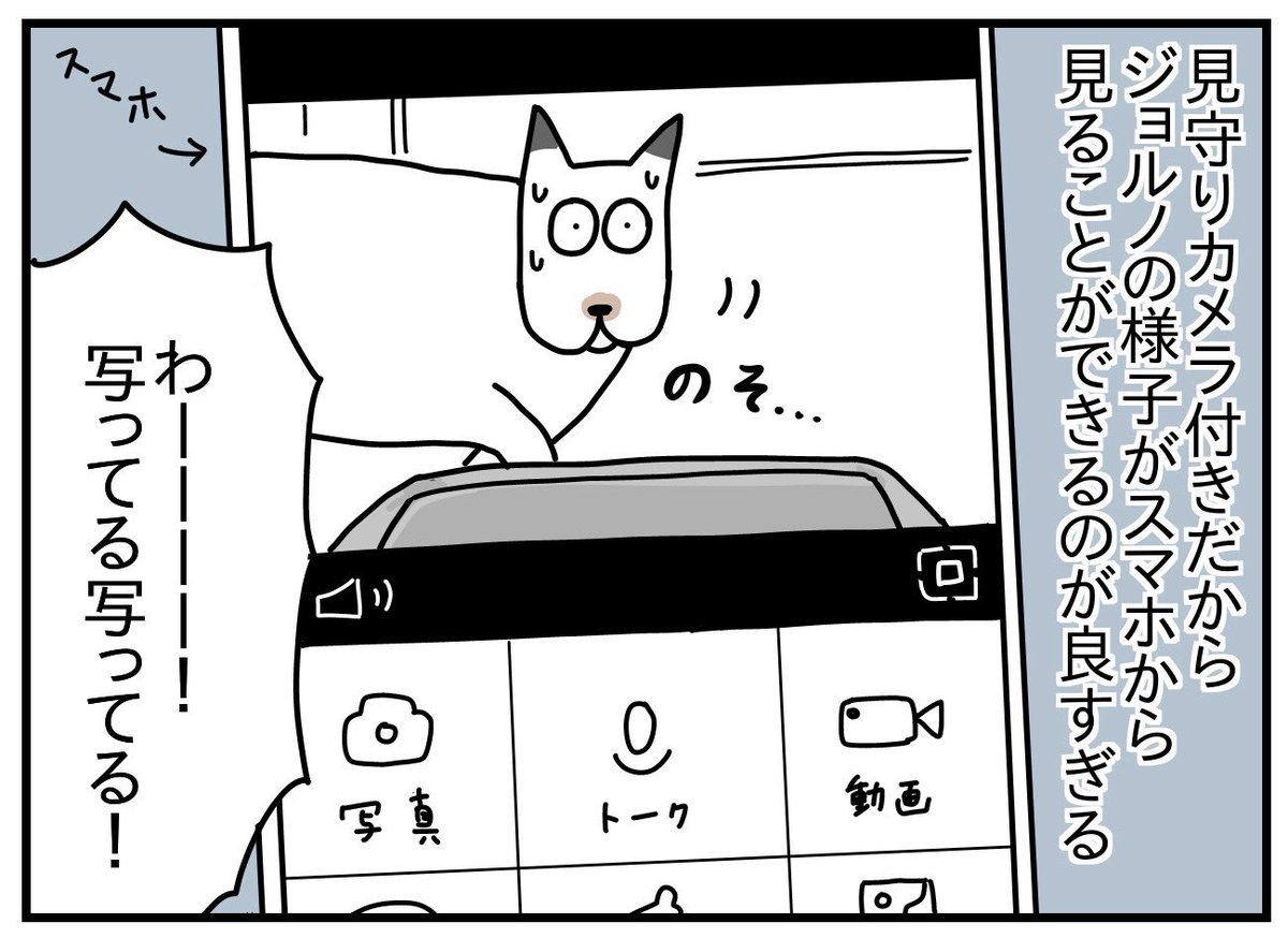 自動餌やり機V2C 最高 