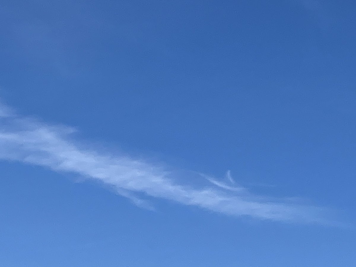 fuyxp8's tweet image. 山梨　日本三大金運神社⛩
新屋山⛰神社⛩🌼