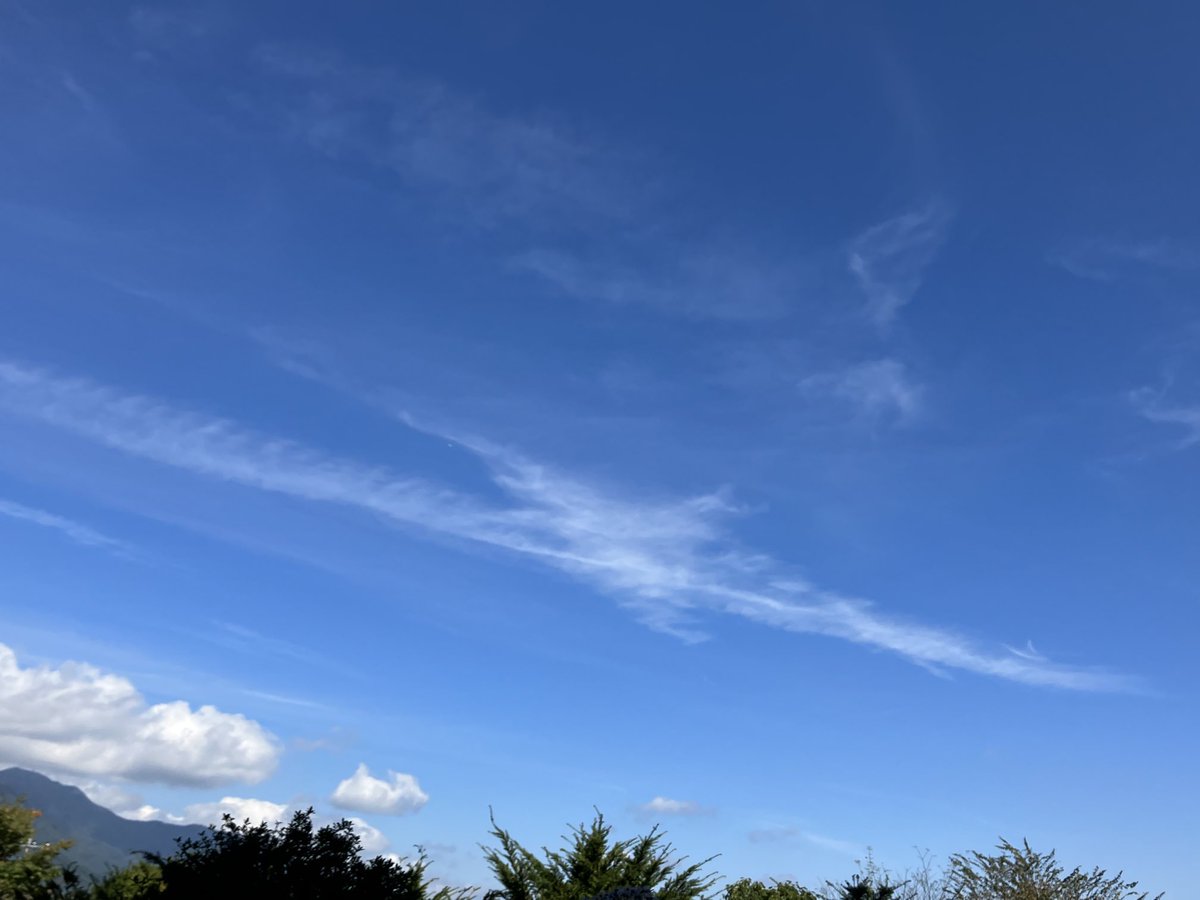 fuyxp8's tweet image. 山梨　日本三大金運神社⛩
新屋山⛰神社⛩🌼