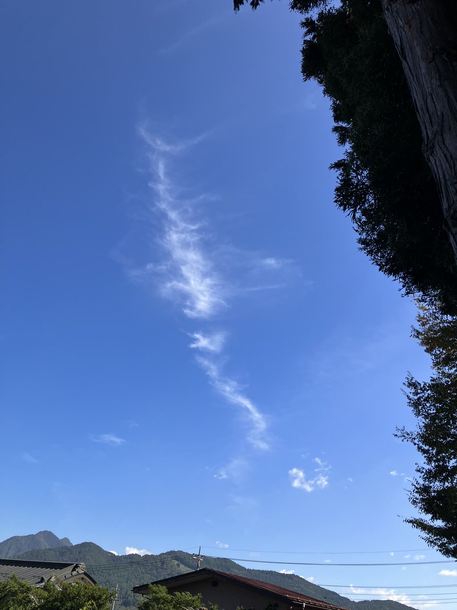 fuyxp8's tweet image. 山梨　日本三大金運神社⛩
新屋山⛰神社⛩🌼