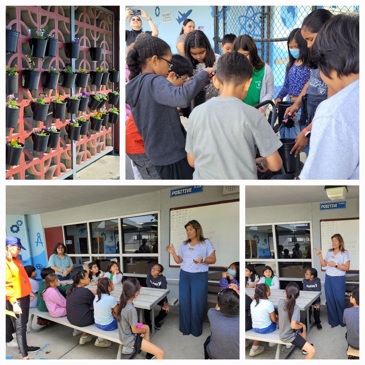 Raymond Temple Green Team thanks Superintendent Martinez for her support and assistance building our vertical garden🙂
<a href="/CentraliaSup/">Norma E. Martinez</a> <a href="/CAGreenRibbon/">CA Green Ribbon</a> <a href="/rt_eagles/">Ms. Stuht, Principal</a>