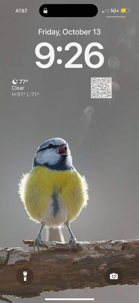 Card® tweet media