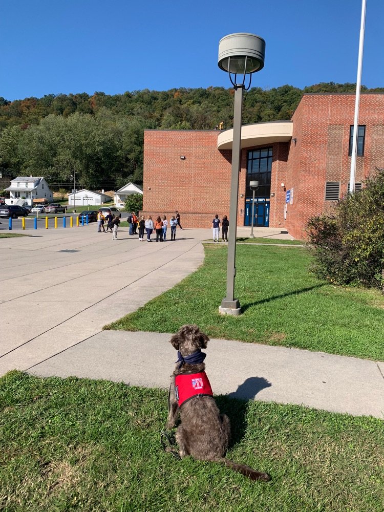 BSHS_TRIBEPRIDE's tweet photo. Spirit week wrap up. Pumpkin drop, PEP Rally, Homecoming Game! What an awesome week to introduce Skye to our incredible community. #friendswithpaws https://t.co/GbntaoyvU3