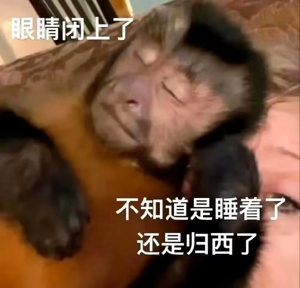 希望12月份不忙能去哈尔滨玩