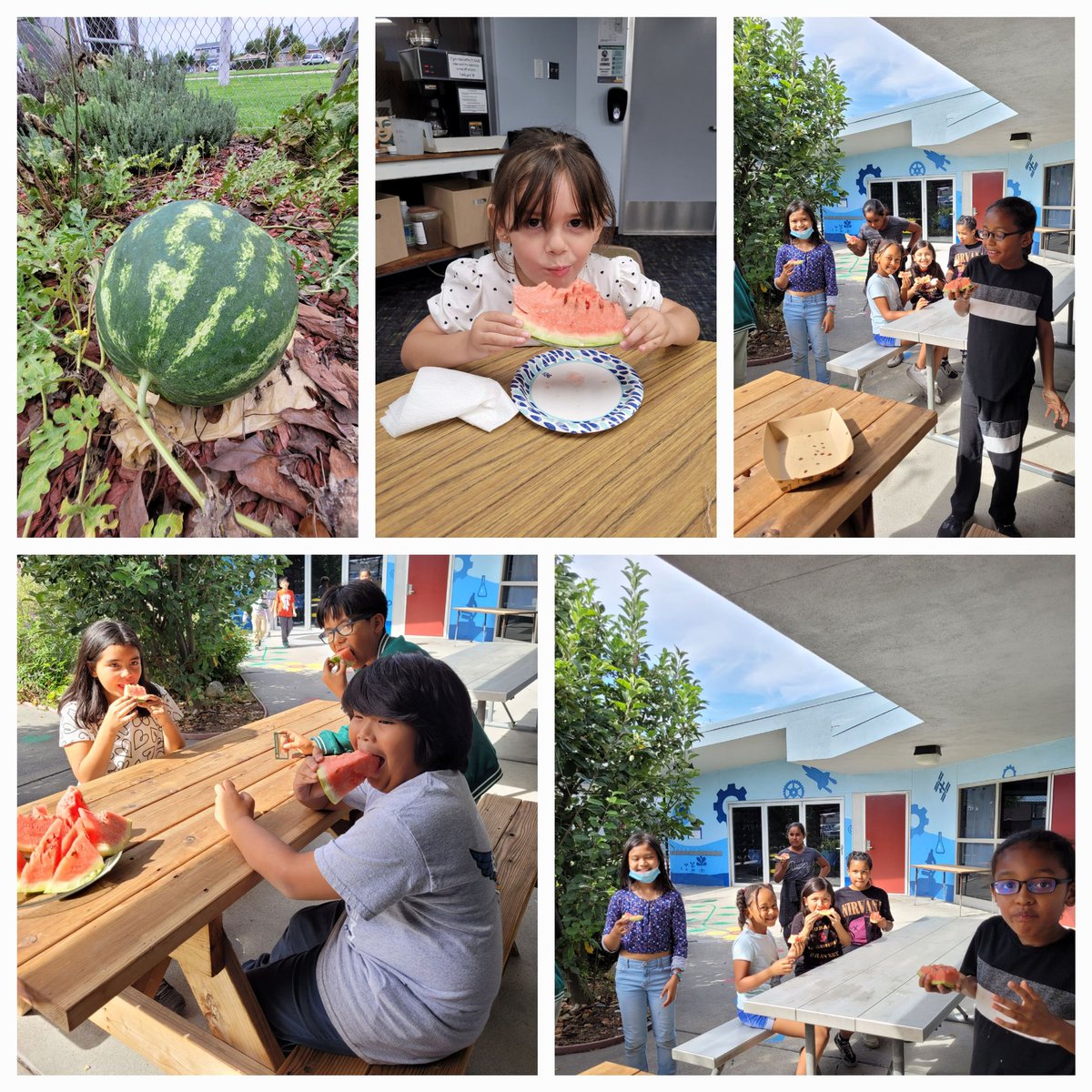 Enjoying our 27 lbs watermelon from our Raymond Temple 
garden😋
<a href="/CentraliaSup/">Norma E. Martinez</a> <a href="/CAGreenRibbon/">CA Green Ribbon</a> <a href="/rt_eagles/">Ms. Stuht, Principal</a>